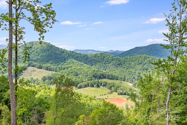 $799,000 | 99999 Hookers Gap Road, Candler, NC 28715