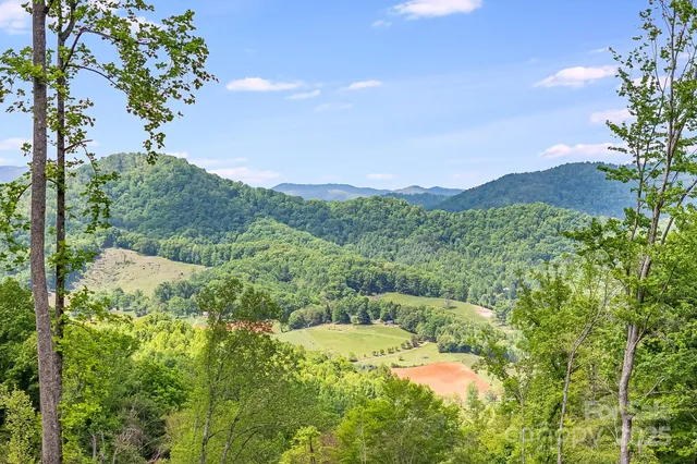 $799,000 | 99999 Hookers Gap Road, Candler, NC 28715