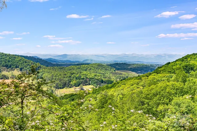 $799,000 | 99999 Hookers Gap Road, Candler, NC 28715