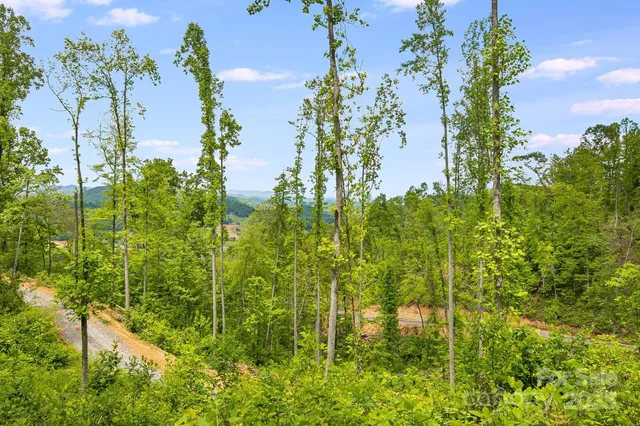 $799,000 | 99999 Hookers Gap Road, Candler, NC 28715