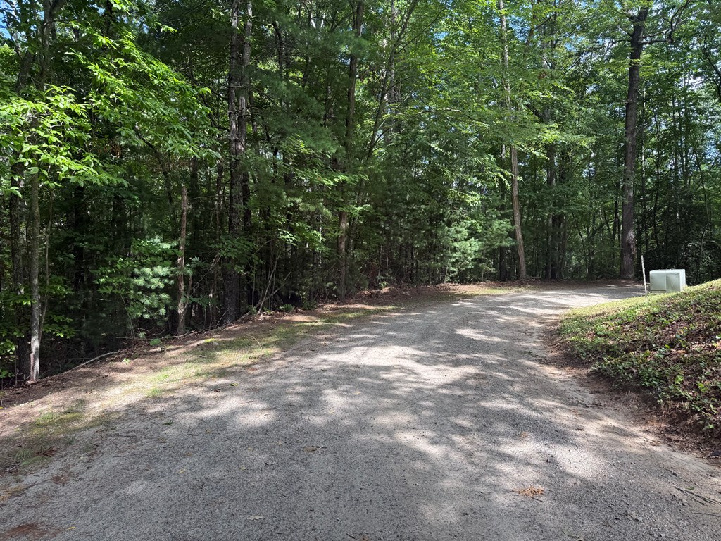 0 Guy Eller Road Murphy, NC 28906 - Photo 2 of 6