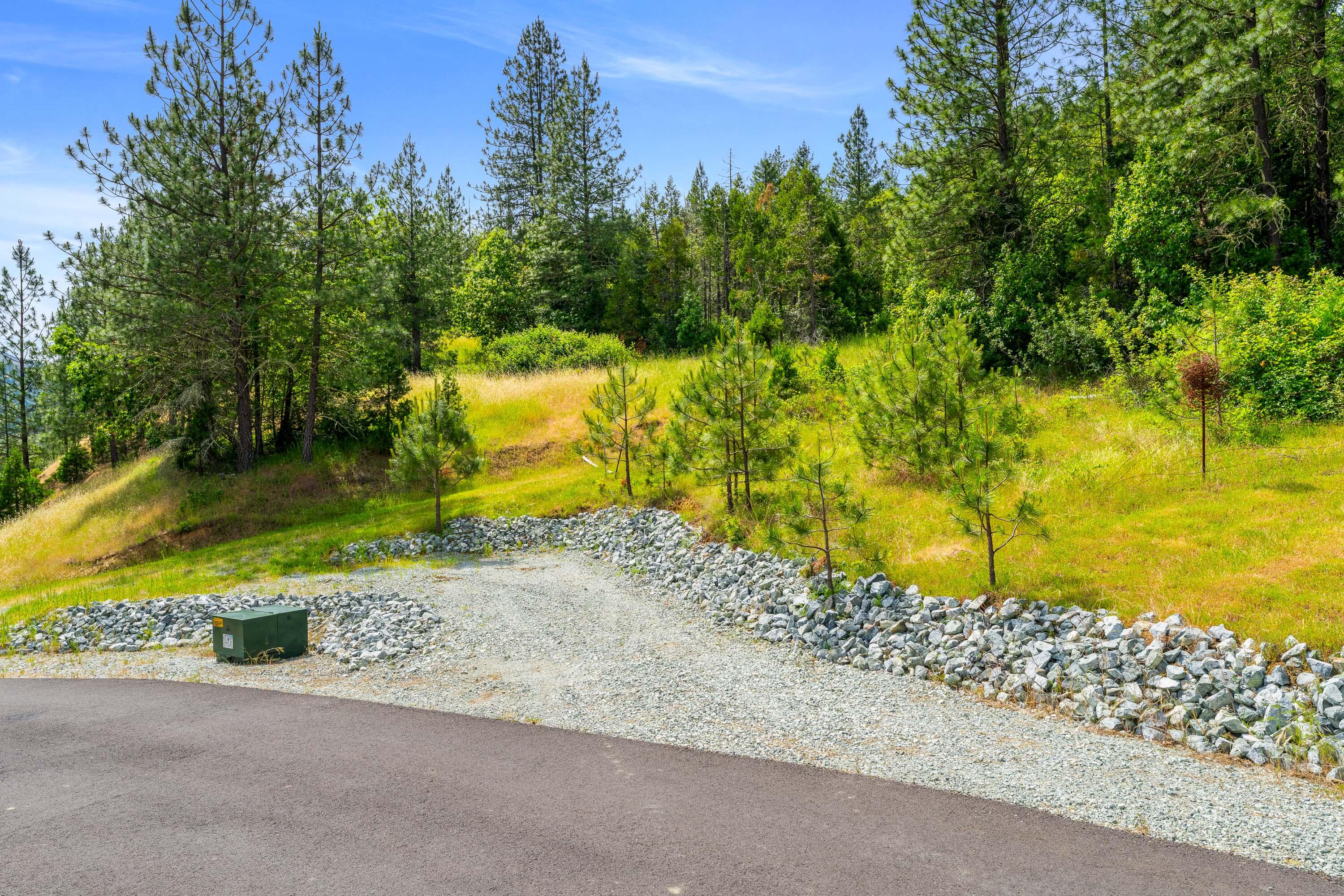 225 Eagle Ridge Road Canyonville, OR 97417 - Photo 16 of 52 a view of a yard with plants and a tree