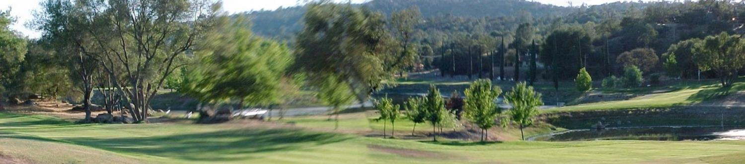 29165 Revis Road Coarsegold, CA 93614 - Photo 49 of 51 Gallery Image 49