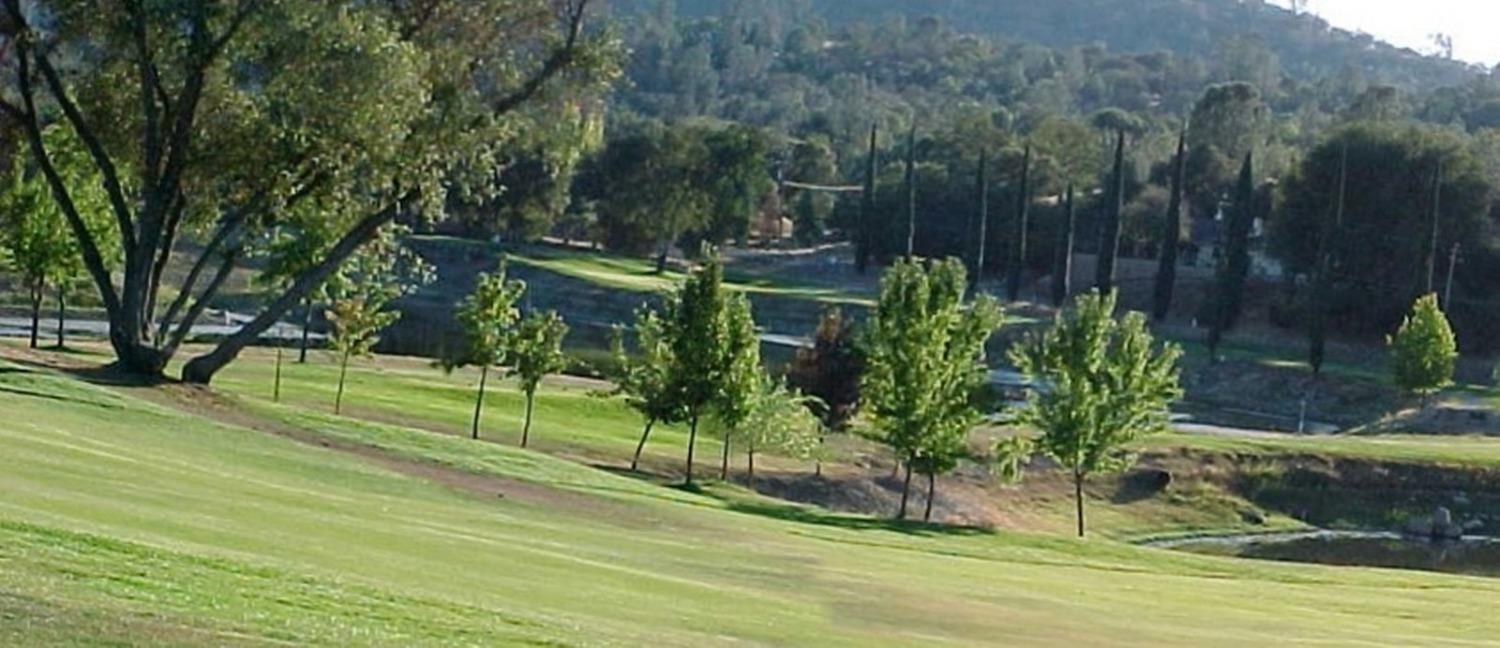 29165 Revis Road Coarsegold, CA 93614 - Photo 50 of 51 Gallery Image 50
