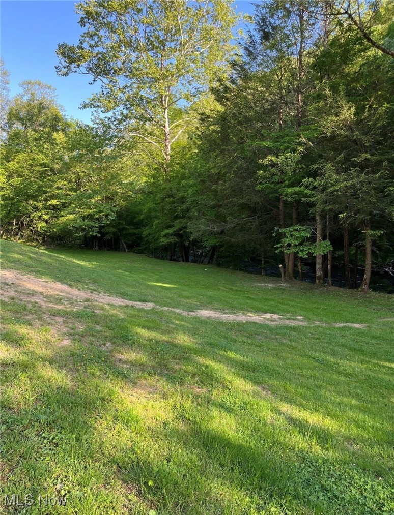 1426 Lk Ln Road Napier, WV 26631 - Photo 2 of 13