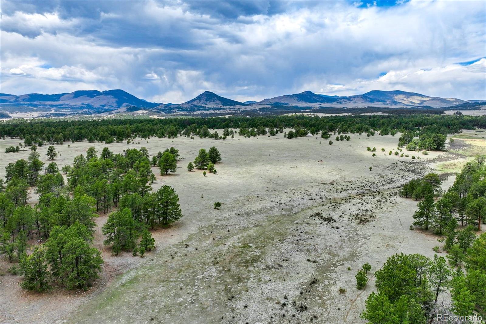 103 Doe Valley Road Guffey, CO 80820 - Photo 43 of 46