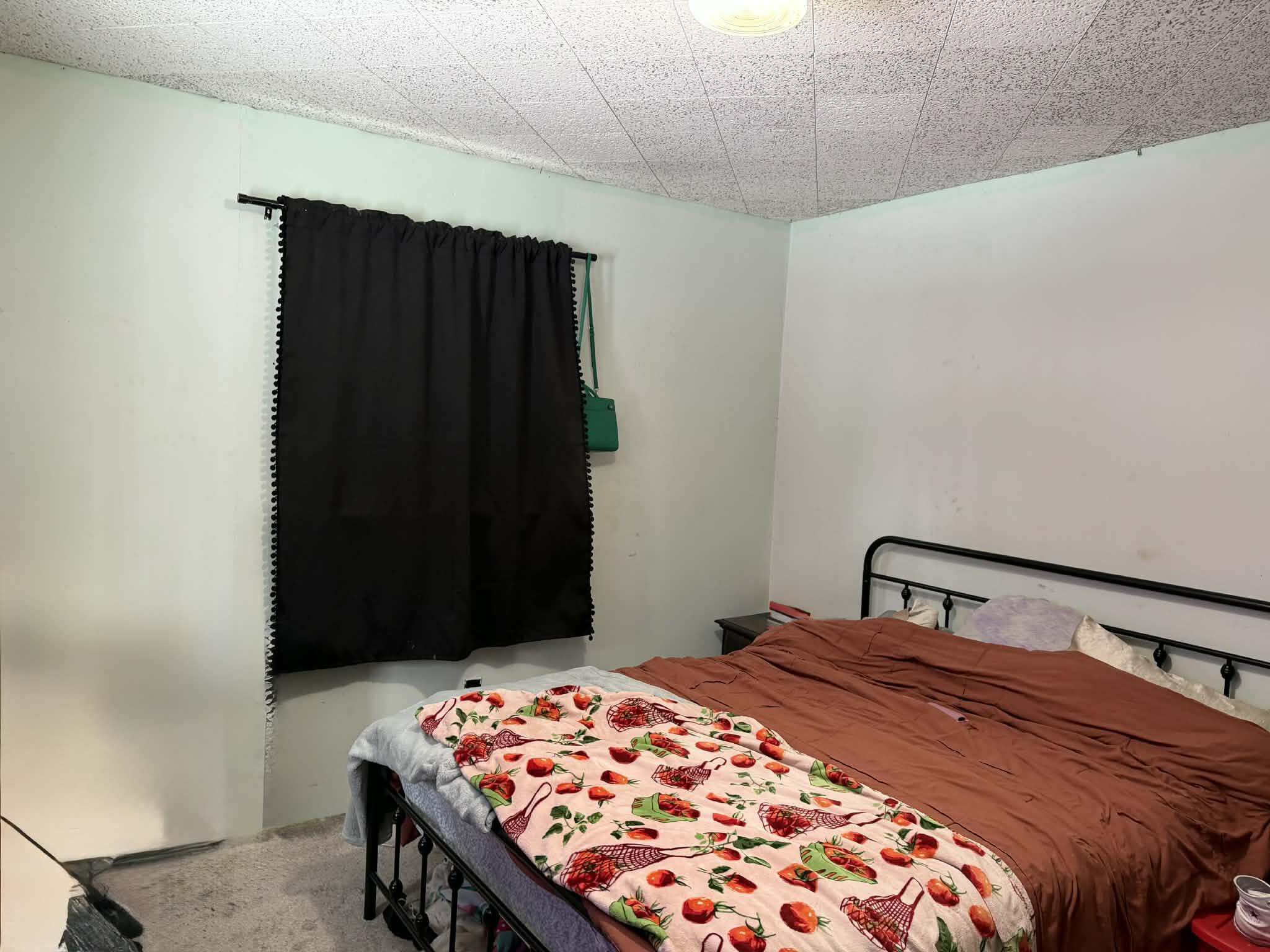 10131 Alpine Drive Reed City, MI 49677 - Photo 20 of 53 89390d1b-86e9-459a-88cc-12212fb5f7fb