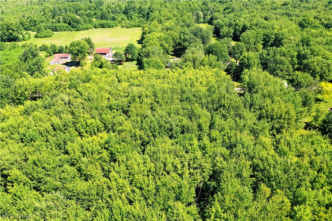 Airport Road Northwest Warren, OH 44481 - Photo 16 of 19
