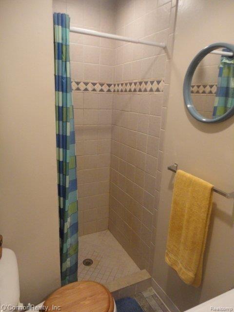 3512 Cribbins Road North Street, MI 48049 - Photo 23 of 24 shower.JPG