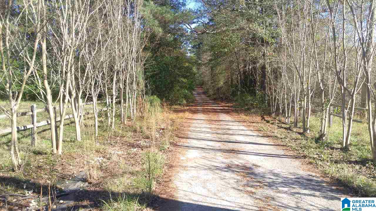 10468 Chelsea Road Chelsea, AL 35043 - Photo 8 of 23
