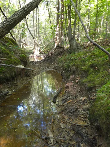 $48,000 | Cub Brown Road, Monticello, MS 39654