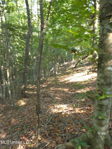 $48,000 | Cub Brown Road, Monticello, MS 39654