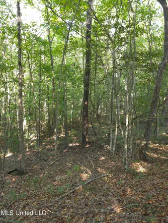 $38,000 | Cub Brown Road, Monticello, MS 39654