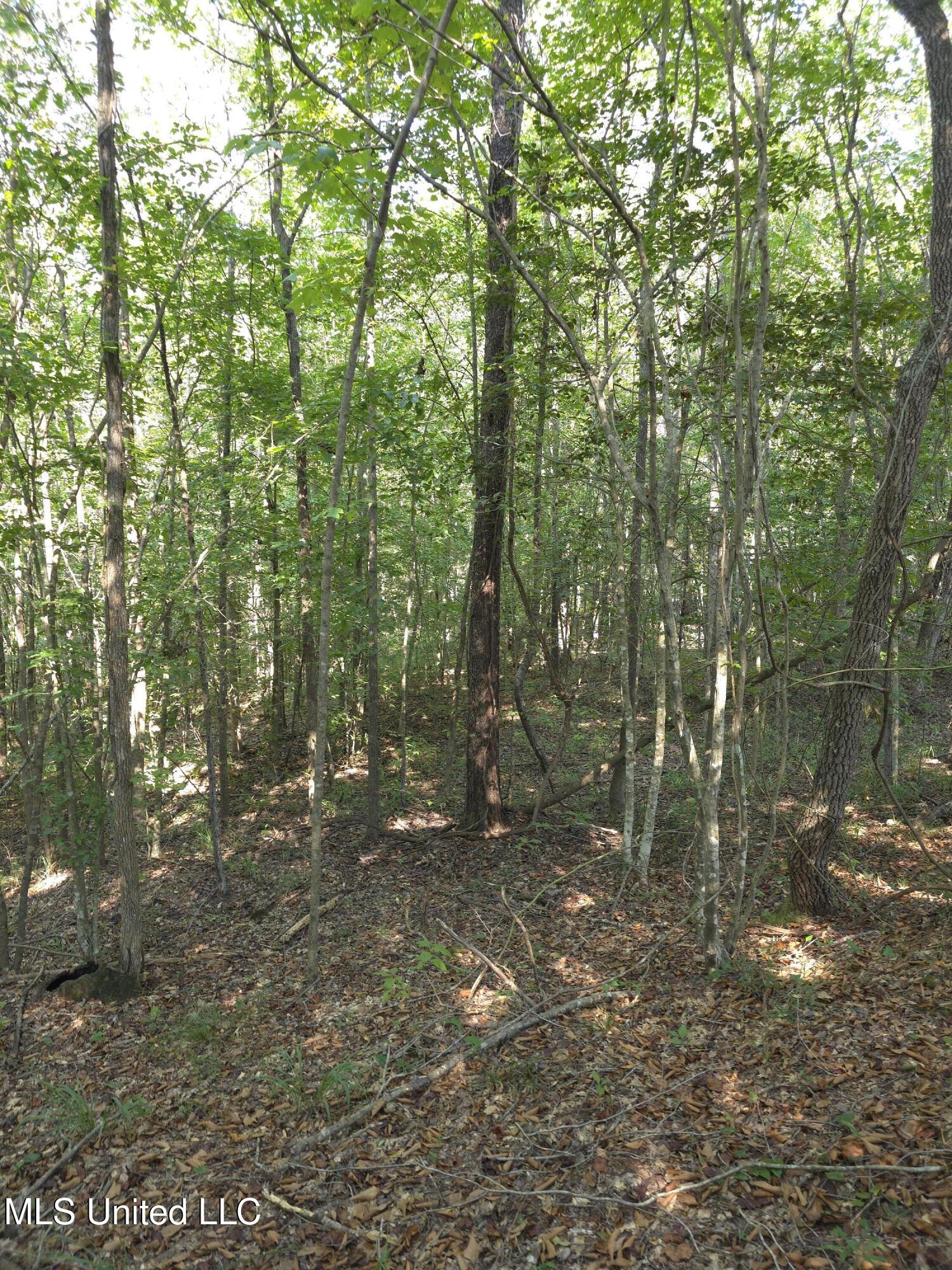 Cub Brown Road Monticello, MS 39654 - Photo 12 of 45 16753