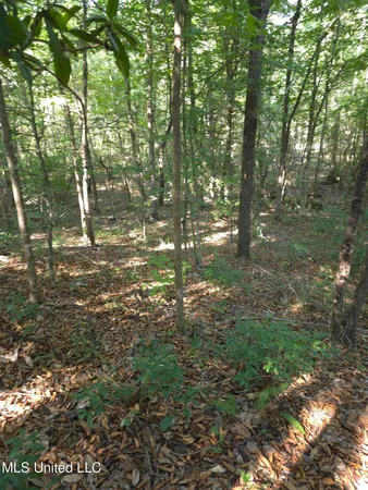 $38,000 | Cub Brown Road, Monticello, MS 39654