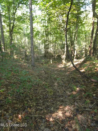 $38,000 | Cub Brown Road, Monticello, MS 39654