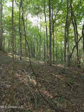 $38,000 | Cub Brown Road, Monticello, MS 39654