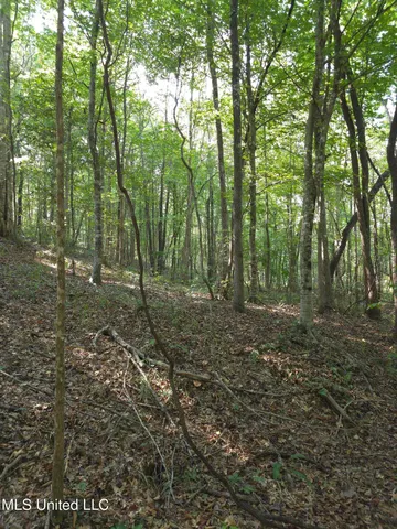 $48,000 | Cub Brown Road, Monticello, MS 39654