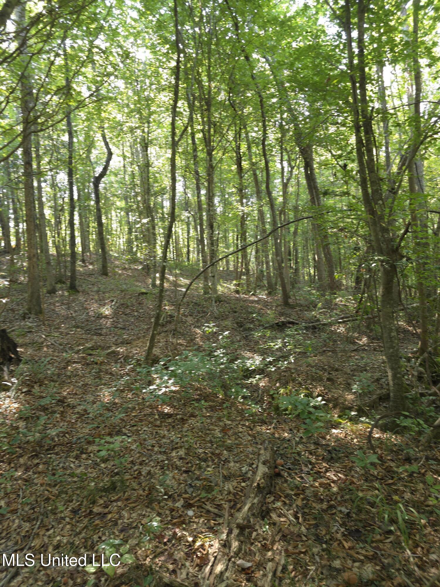 Cub Brown Road Monticello, MS 39654 - Photo 16 of 45 16741