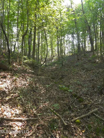 $38,000 | Cub Brown Road, Monticello, MS 39654