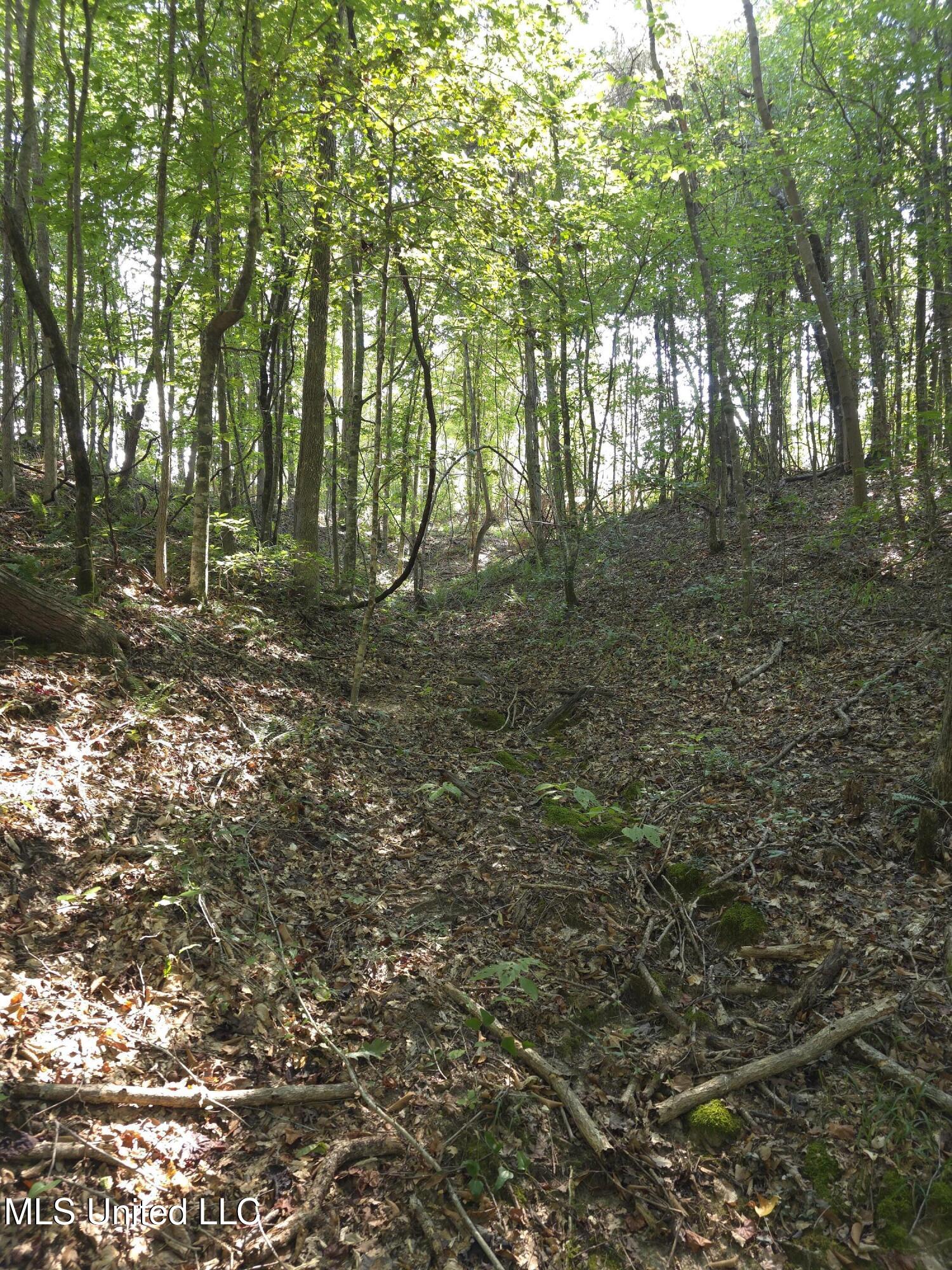 Cub Brown Road Monticello, MS 39654 - Photo 17 of 45 16743