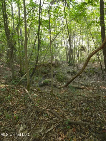 $48,000 | Cub Brown Road, Monticello, MS 39654