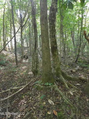 $48,000 | Cub Brown Road, Monticello, MS 39654