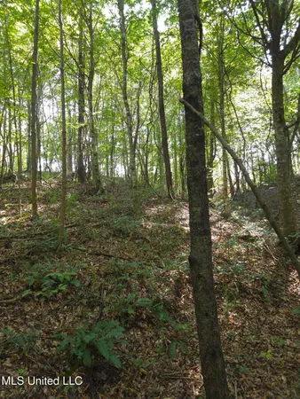 $38,000 | Cub Brown Road, Monticello, MS 39654