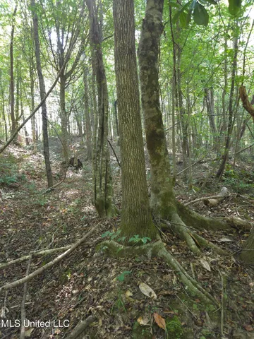 $48,000 | Cub Brown Road, Monticello, MS 39654