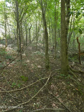 $38,000 | Cub Brown Road, Monticello, MS 39654