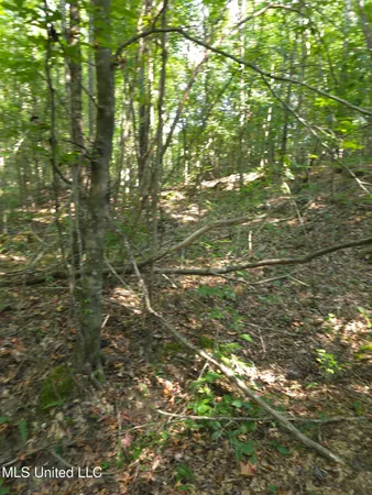 $38,000 | Cub Brown Road, Monticello, MS 39654
