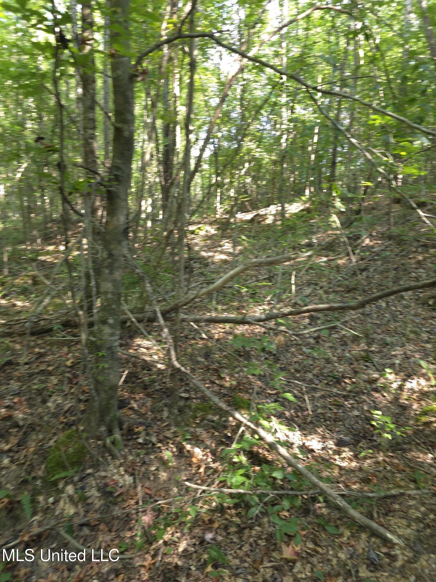 Cub Brown Road Monticello, MS 39654 - Photo 24 of 45 16734