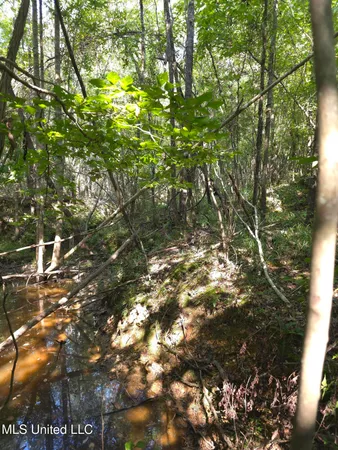 $38,000 | Cub Brown Road, Monticello, MS 39654