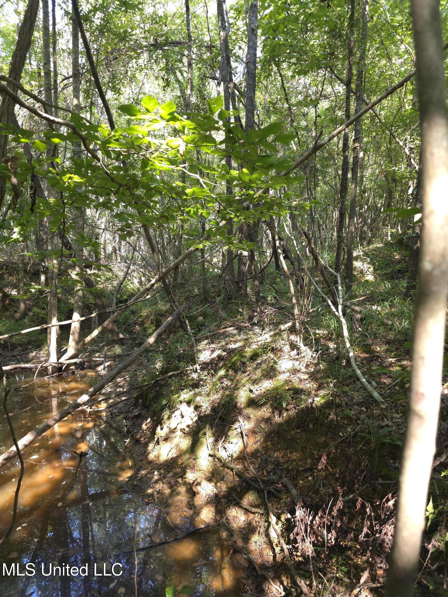 Cub Brown Road Monticello, MS 39654 - Photo 25 of 45 16733