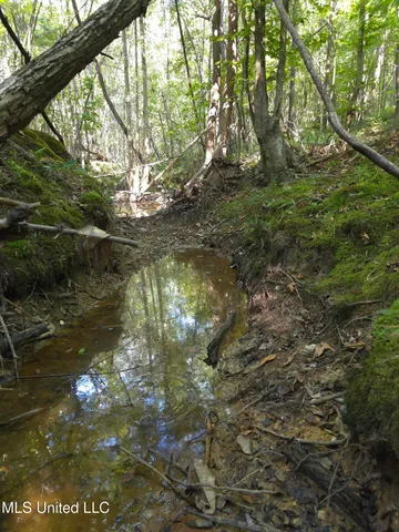 $48,000 | Cub Brown Road, Monticello, MS 39654