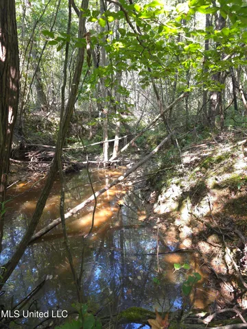 $48,000 | Cub Brown Road, Monticello, MS 39654