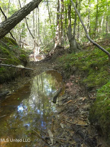 $48,000 | Cub Brown Road, Monticello, MS 39654