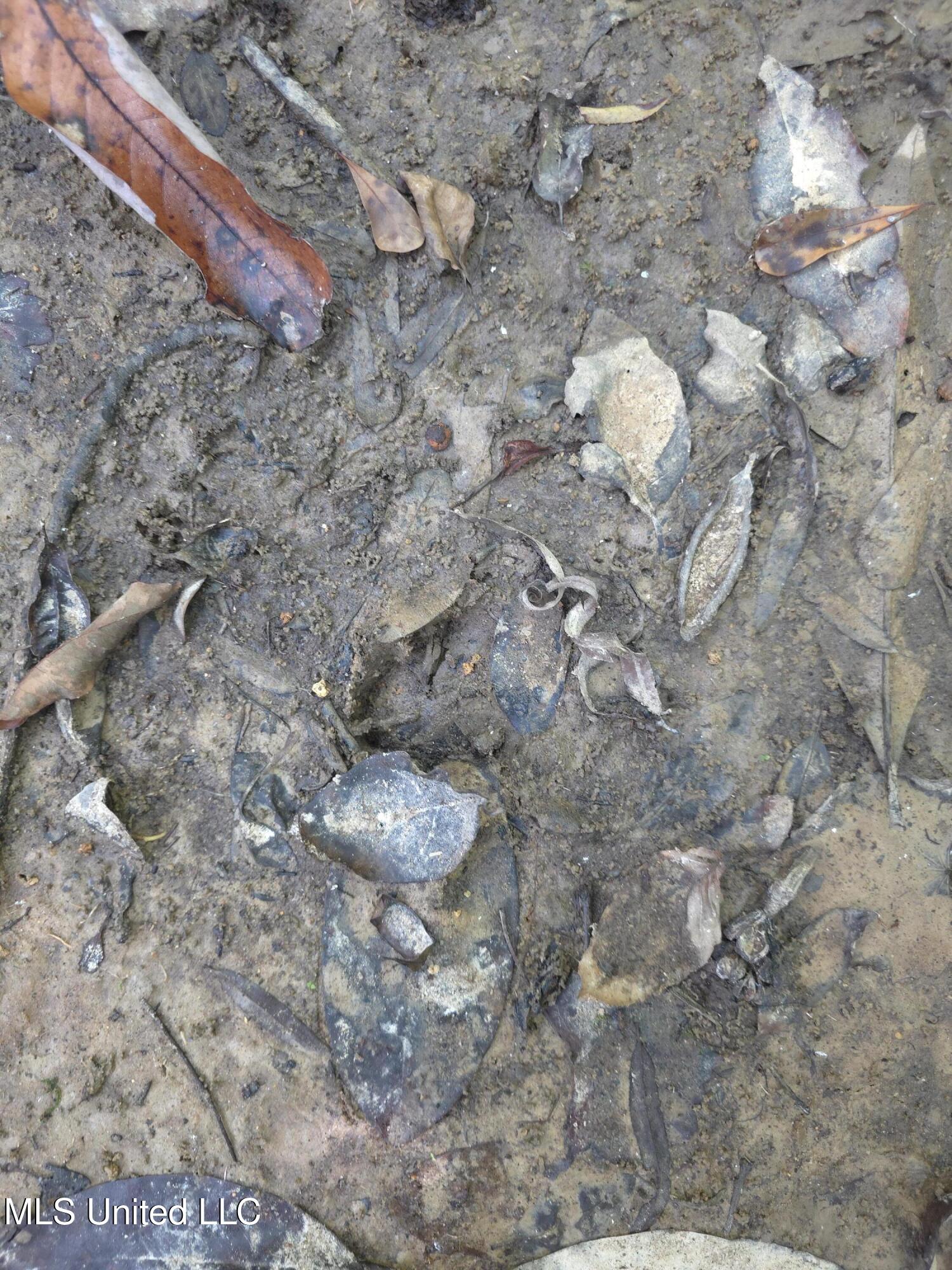 Cub Brown Road Monticello, MS 39654 - Photo 29 of 45 16727