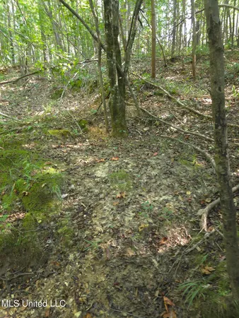 $38,000 | Cub Brown Road, Monticello, MS 39654