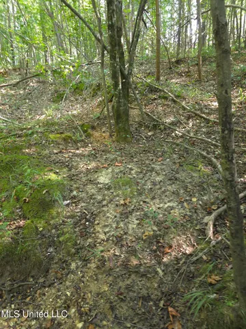 $48,000 | Cub Brown Road, Monticello, MS 39654