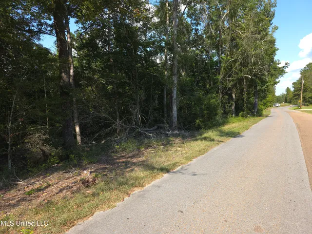 $48,000 | Cub Brown Road, Monticello, MS 39654