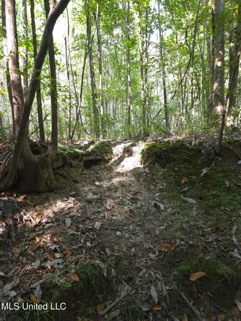 $38,000 | Cub Brown Road, Monticello, MS 39654