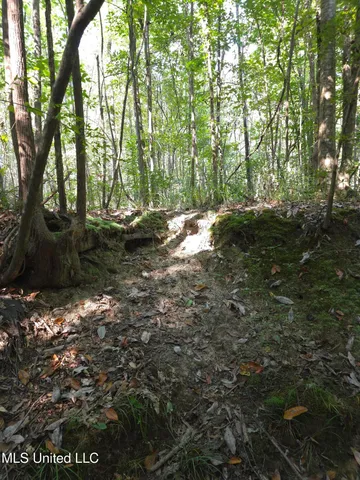 $48,000 | Cub Brown Road, Monticello, MS 39654