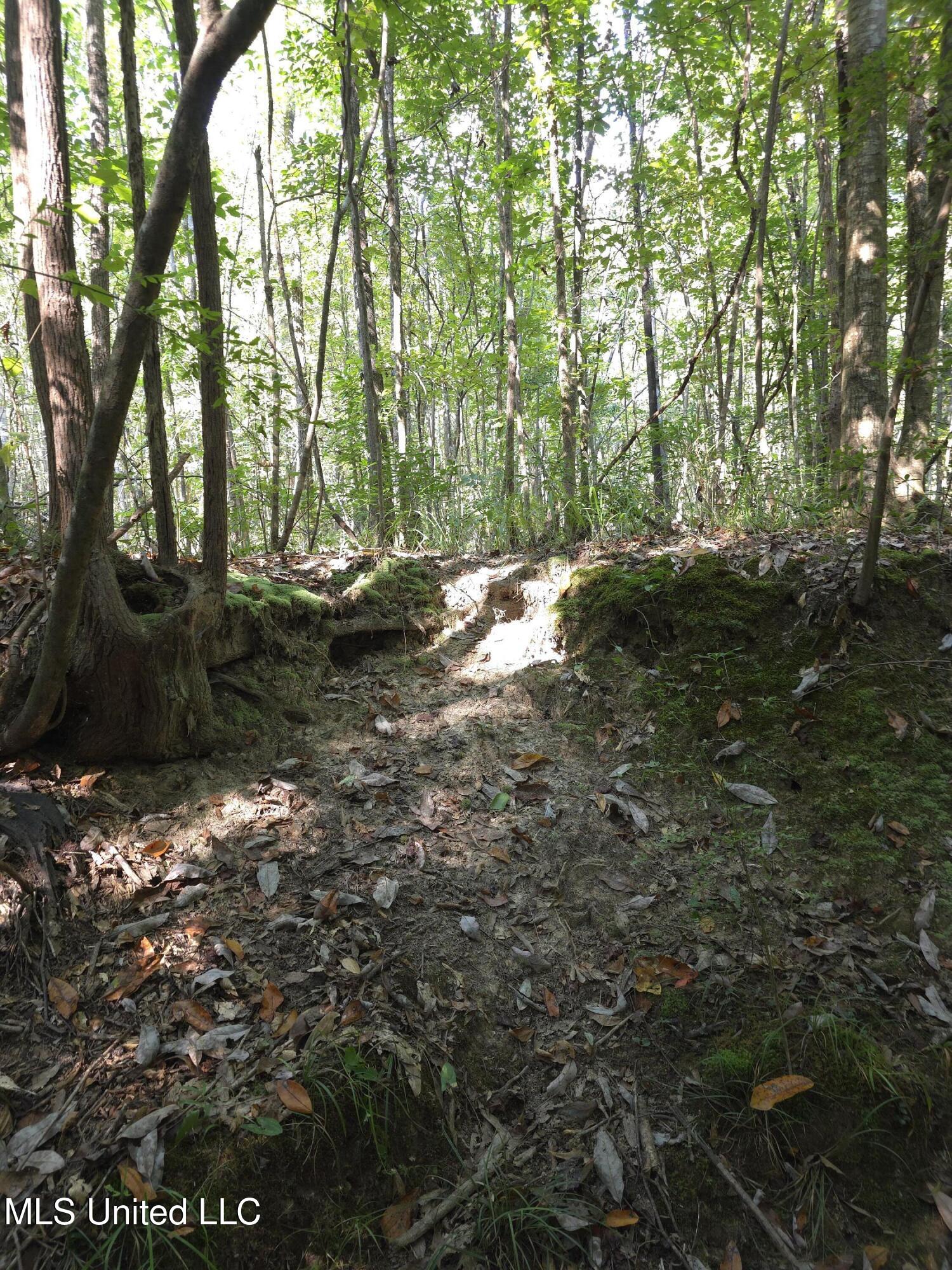 Cub Brown Road Monticello, MS 39654 - Photo 31 of 45 16726
