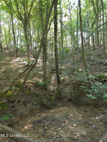 $48,000 | Cub Brown Road, Monticello, MS 39654