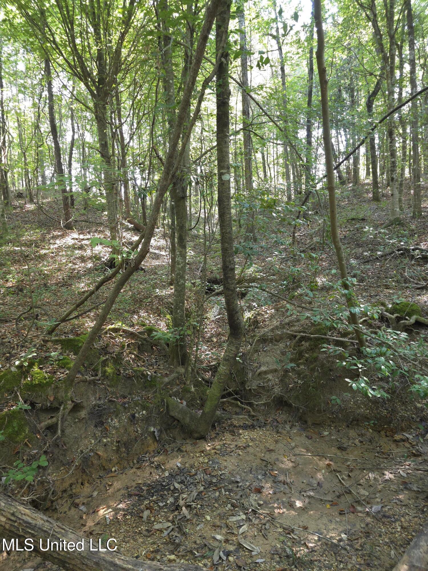 Cub Brown Road Monticello, MS 39654 - Photo 32 of 45 16723