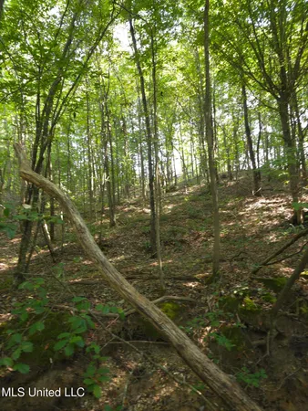 $38,000 | Cub Brown Road, Monticello, MS 39654