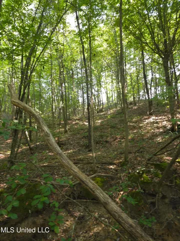 $48,000 | Cub Brown Road, Monticello, MS 39654