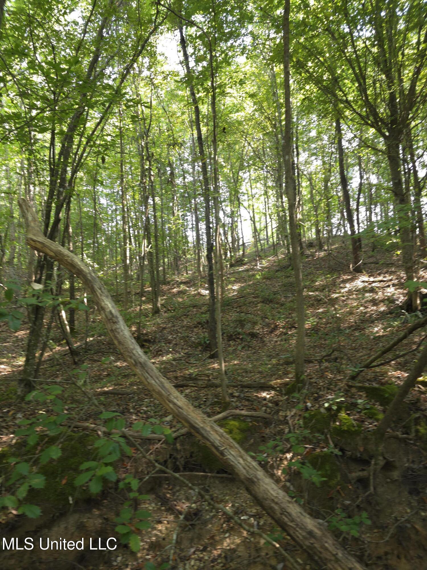 Cub Brown Road Monticello, MS 39654 - Photo 33 of 45 16724
