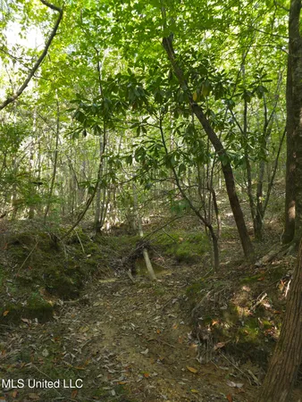 $38,000 | Cub Brown Road, Monticello, MS 39654